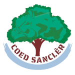 Coed Sancler Logo